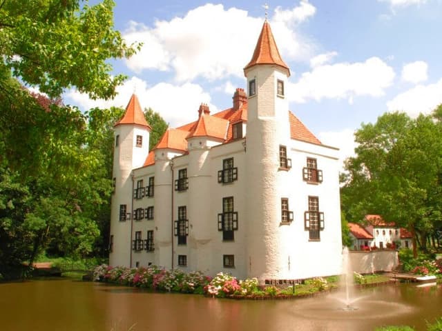 Als koningen van het kasteel